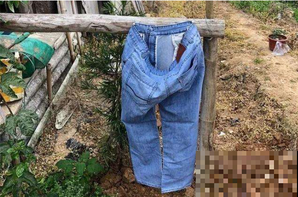 他用这东西养花，把半夜踩点的小偷吓半死，长势旺到不行！