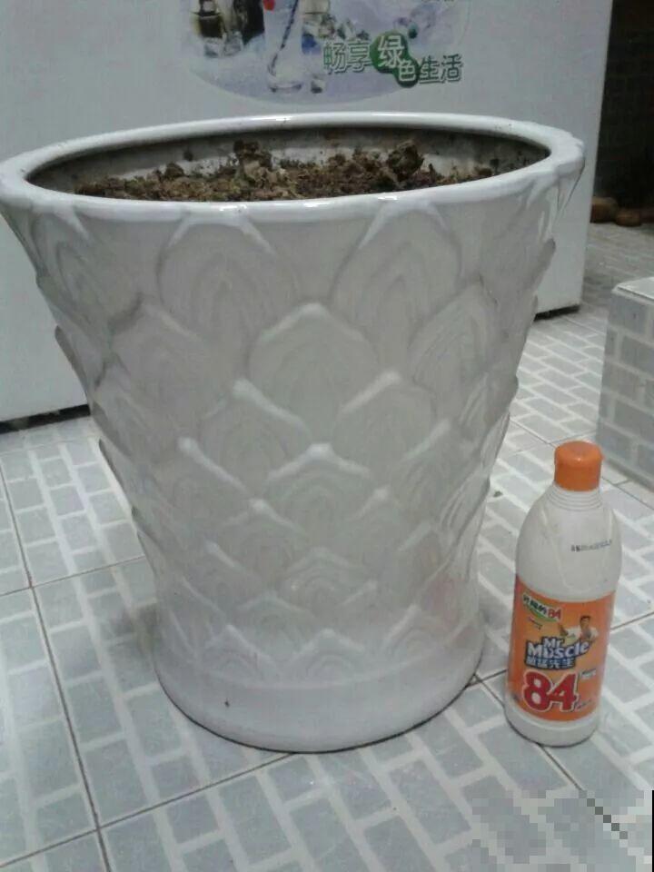这母女俩，一个梦想养花，一个沉迷种菜，真是可爱！
