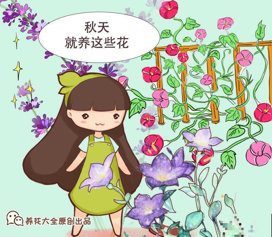 播种就要趁现在，不用一周出芽，三个月后就有花赏！