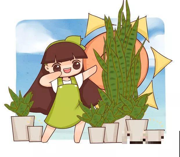 给花浇点它，新芽直冒挡不住，只能换大盆了！