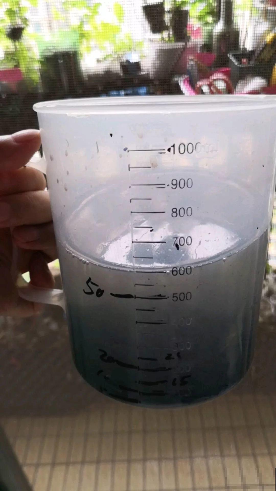 1把蚊香灰撒盆里，虫子全死光，花越长越壮！