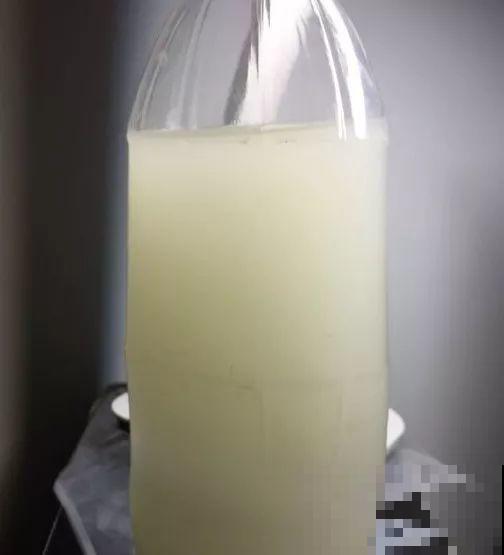 多肉即将睡醒，“大餐”备好了没？不花钱的肥料有的是！
