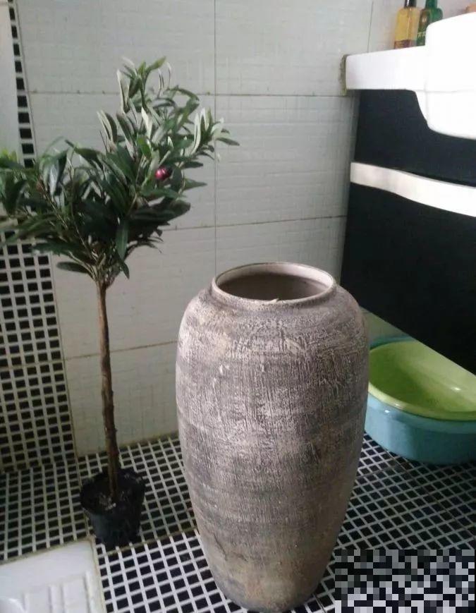 这母女俩，一个梦想养花，一个沉迷种菜，真是可爱！