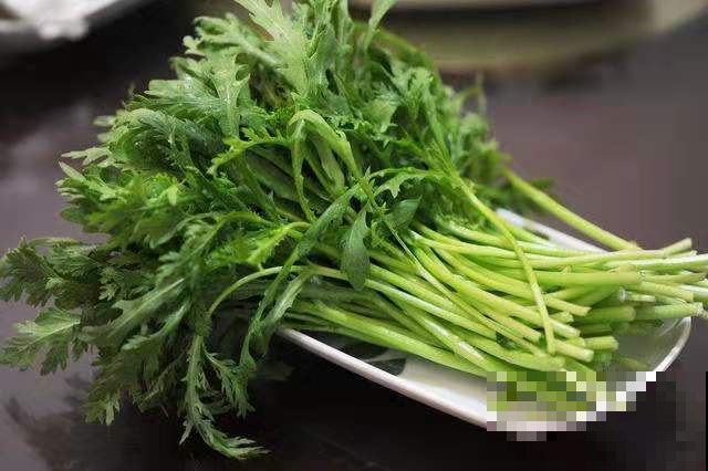 鲜嫩无比的茼蒿现在赶紧种，一年最好的时候，古代皇帝才有的口福