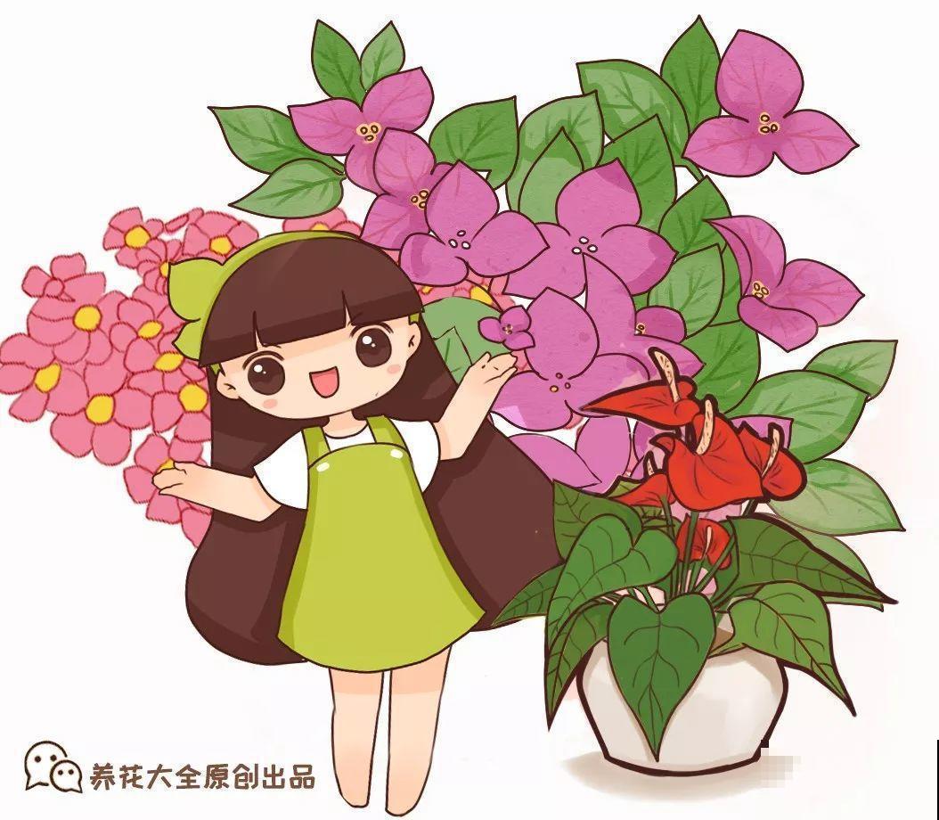 秋天养这30种花，能开200天，让你一次看个够！