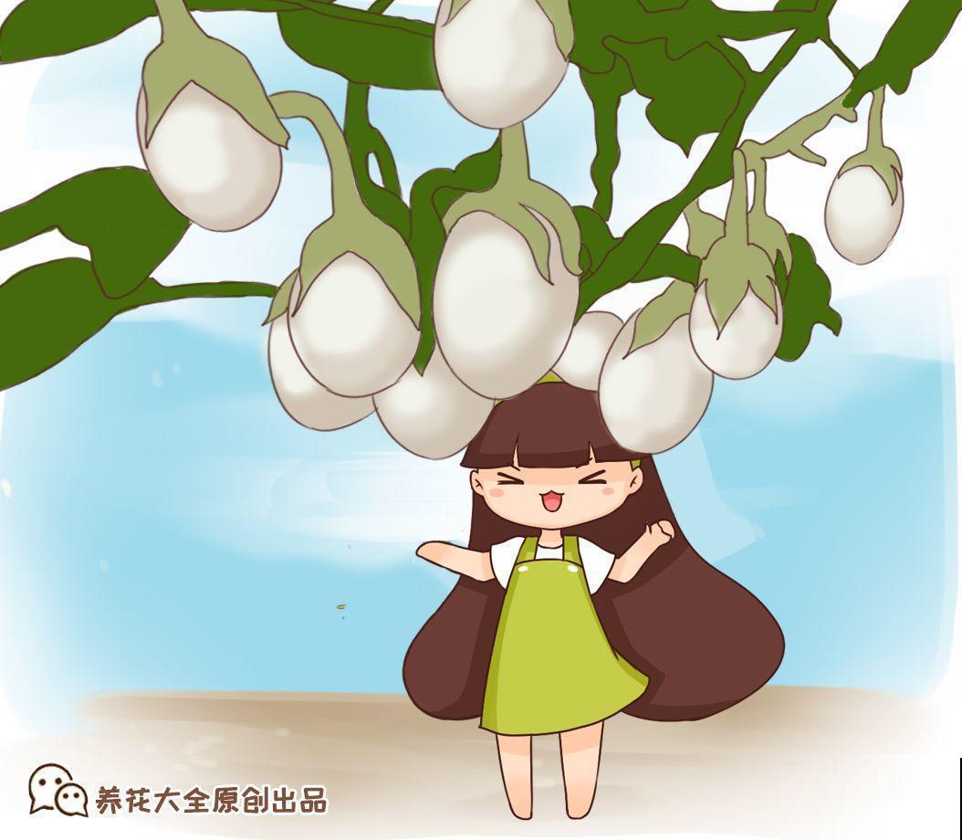 最奇葩的4种瓜，一边砍一边长，满树结出大鸡蛋！