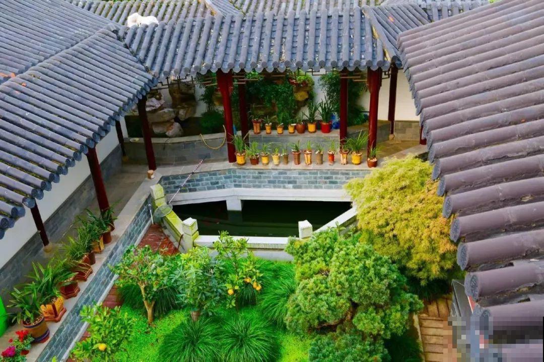 愿老来有个小院，养花种草，做一个幸福的养花奴！