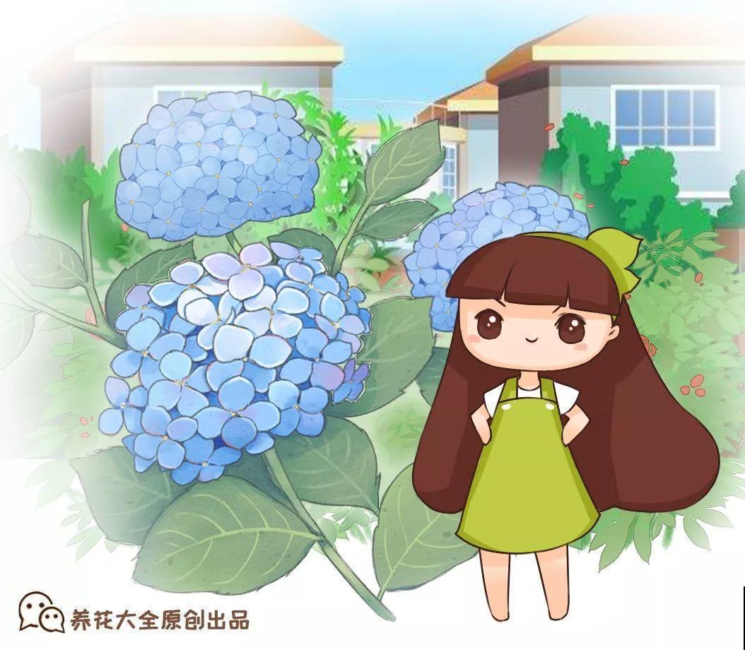 这花就要种在大门口，霸气上档次，能开出头一条花路！