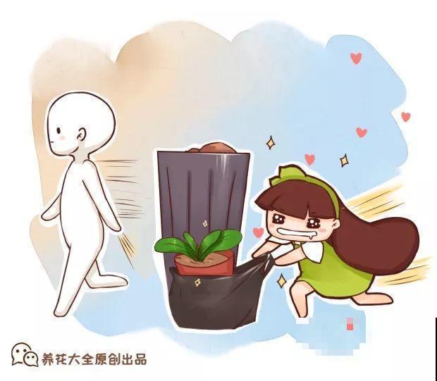 周末去这儿转一转，花和花盆随便捡，赚大发了！