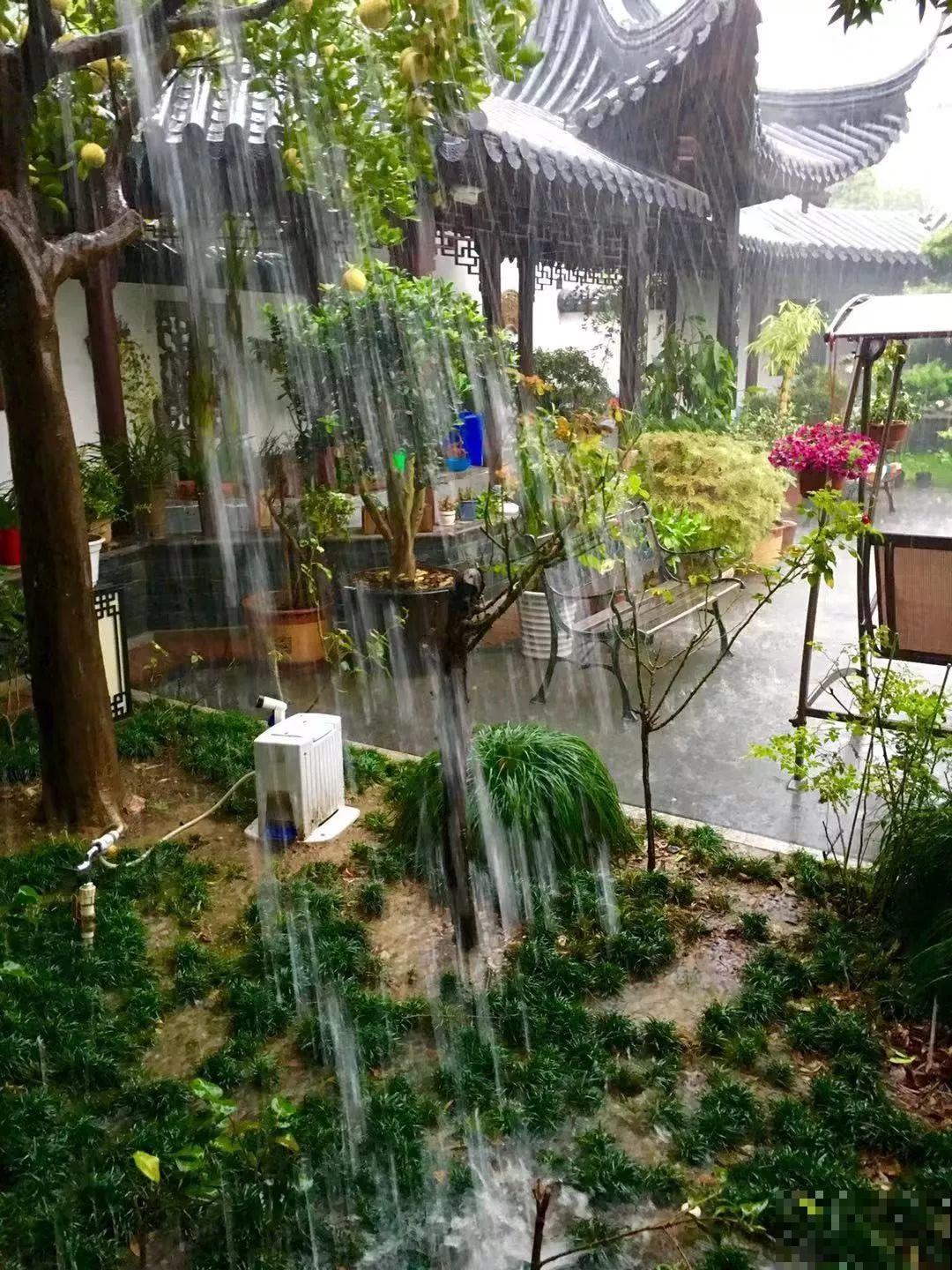 愿老来有个小院，养花种草，做一个幸福的养花奴！