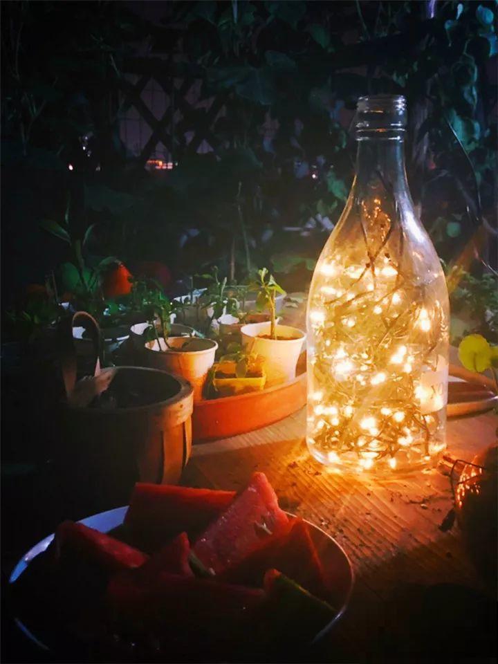 老了以后能干啥？有个小院种种花，悠闲自在！