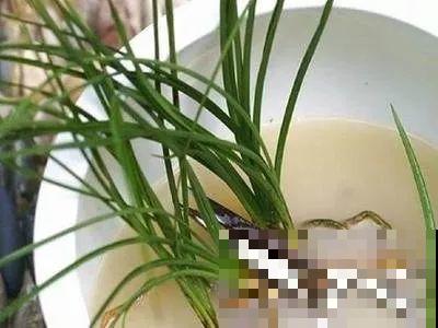 秋天说来就来，这花睡饱了一个夏天，是时候栽盆里了！