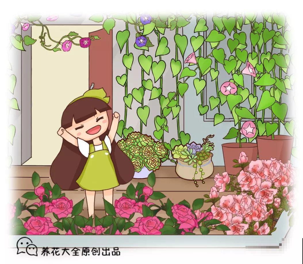 啥花都放在阳台养？位置摆不对，显得乱还没空落脚！