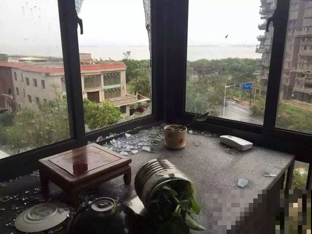 台风天养花必须做到的三件事，否则好花变烂叶，救都救不回来！
