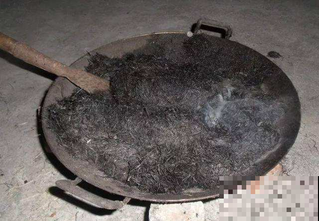 盆栽柠檬好不容易长大，却啪嗒掉一地？都怪你没做好这件事！