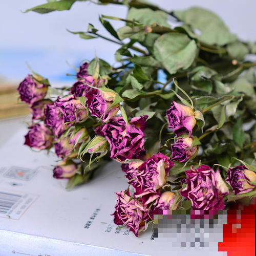 七夕收到的鲜花，看几天就败？教你3招，放一年都没事！