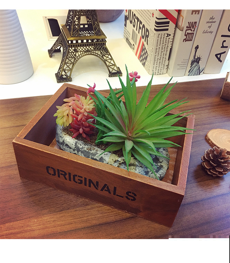 你还在花钱买花盆吗？别买了，自制花盆，比买的好看得多了！