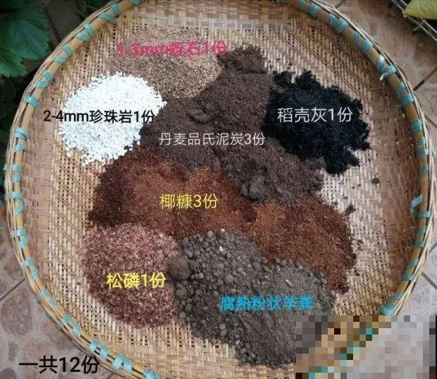 多肉养护大总结，这7点学会了，啥肉都能养得活！