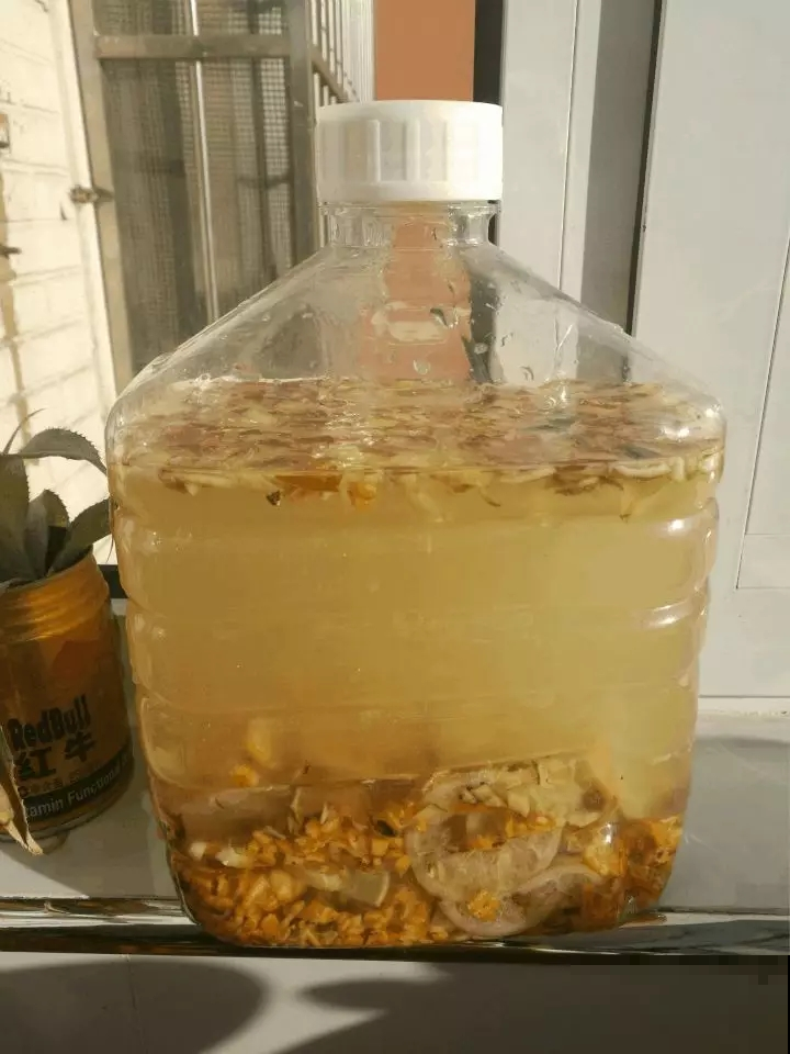 没想到一撮白粉末，养花作用这么强，催花健枝芽猛蹿！