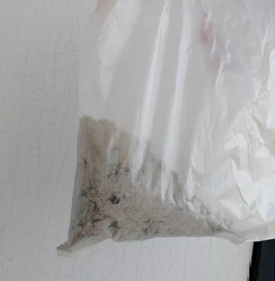 1把蚊香灰撒盆里，虫子全死光，花越长越壮！