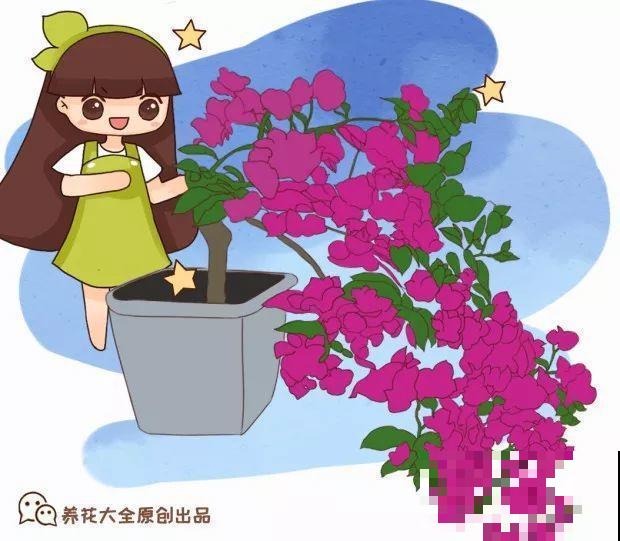 这8种花，拿棍子一绑凹个造型，身价嗖嗖往上翻！