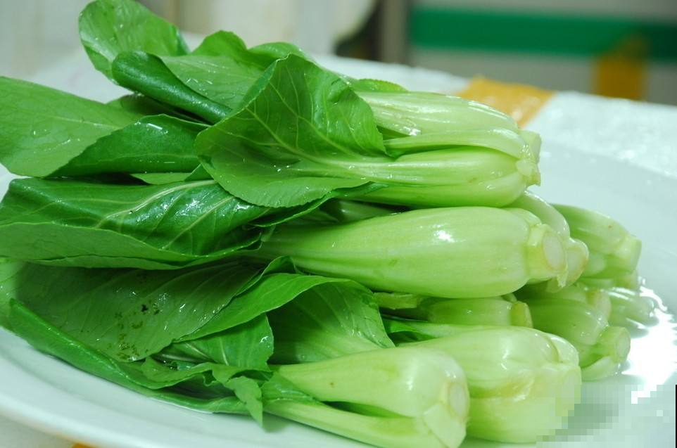 8月最适合种这菜，1周窜满盆薅不完，20天就能进锅！