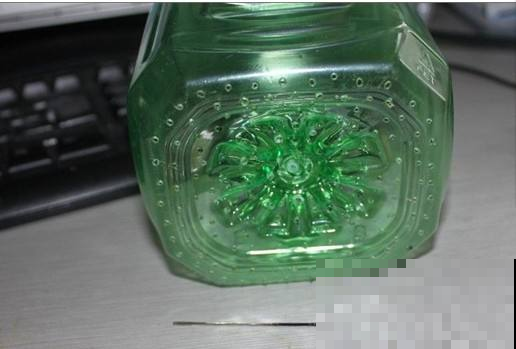 想吃豆芽？雪碧瓶就能做，方便省钱，不用一周就搞定！