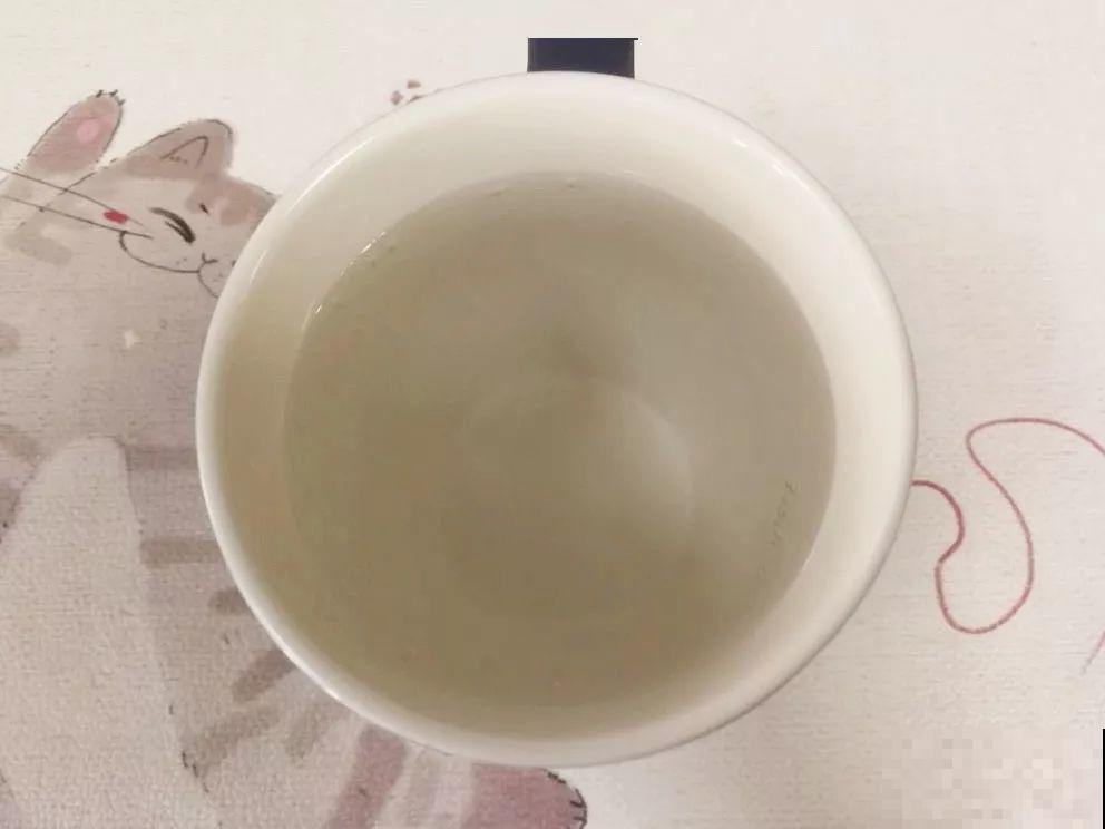扦插有了它，生根快还不黑腐，每根枝都能活！