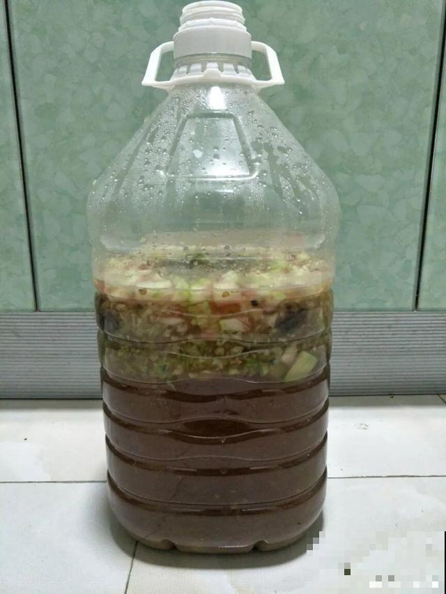 随处可见的水果皮，直接拿来沤肥，长出来的植物嗖嗖蹿个