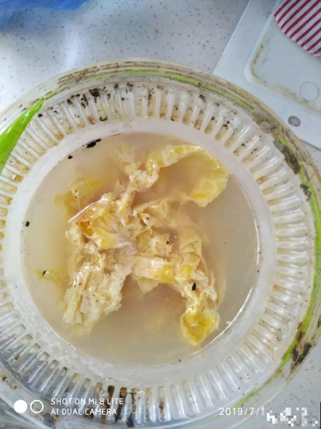 给花浇点它，秋天根系撑爆盆，黄叶离得远远的！