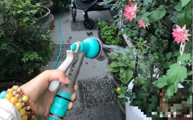 10月养花，这3点没注意，容易把花养死
