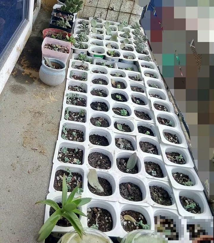 周末去这个地方，遍地都是宝贝，丢人也要捡！