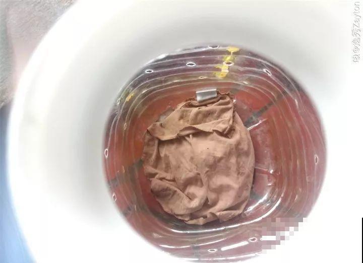 把花插在油桶里，疯狂晒7天，开成大花柱！