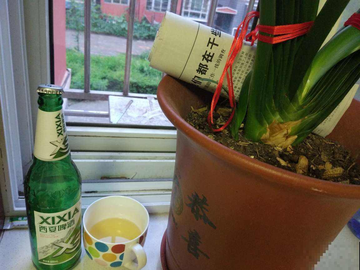 用这种方法浇花，花疯长，眼馋坏了！