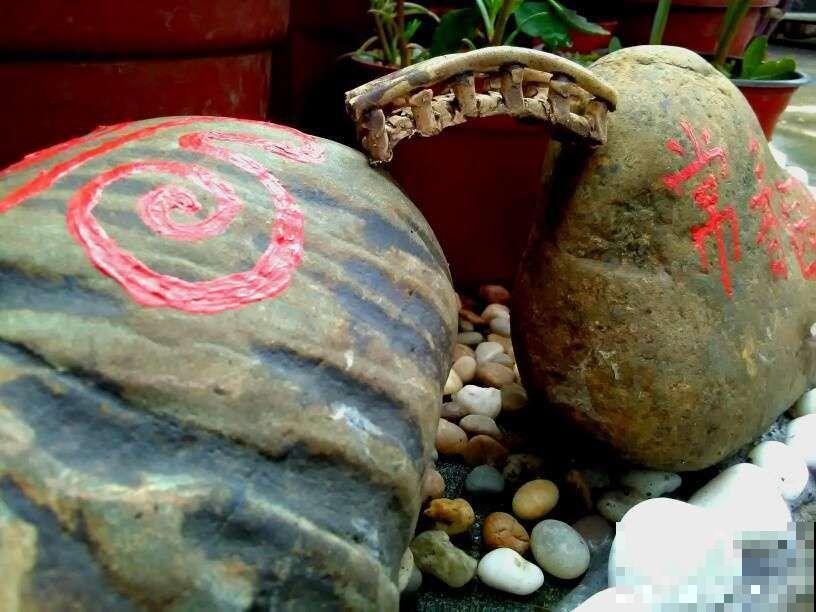 16岁男孩，为重病奶奶建花园，2年种了上百盆花！