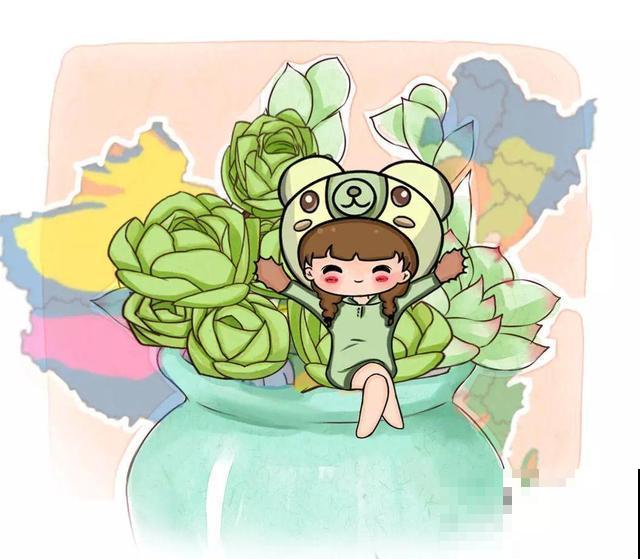 多肉防死6大招，学会养成土肥圆，越老越值钱！