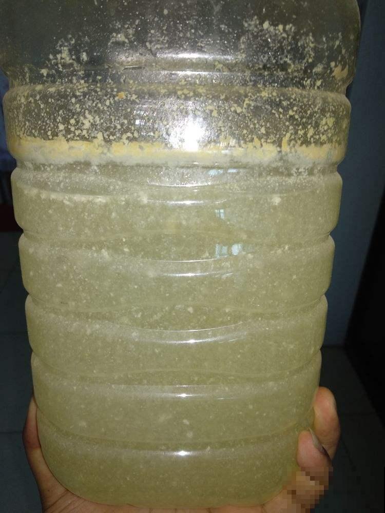 用这种方法浇花，花疯长，眼馋坏了！