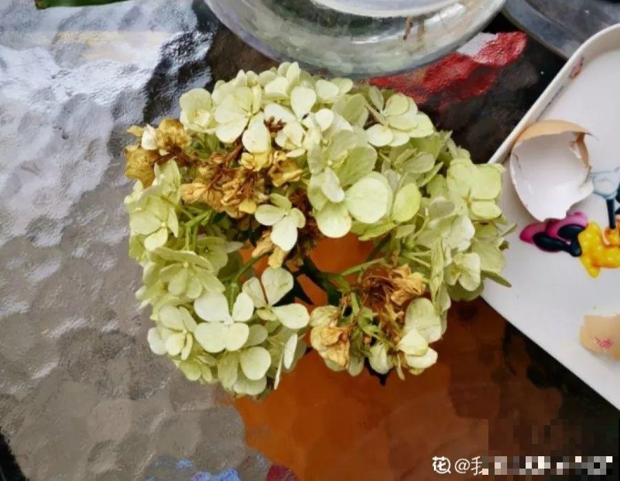 家里的花越长越小，再不贴点膘，怎么看都没精神！