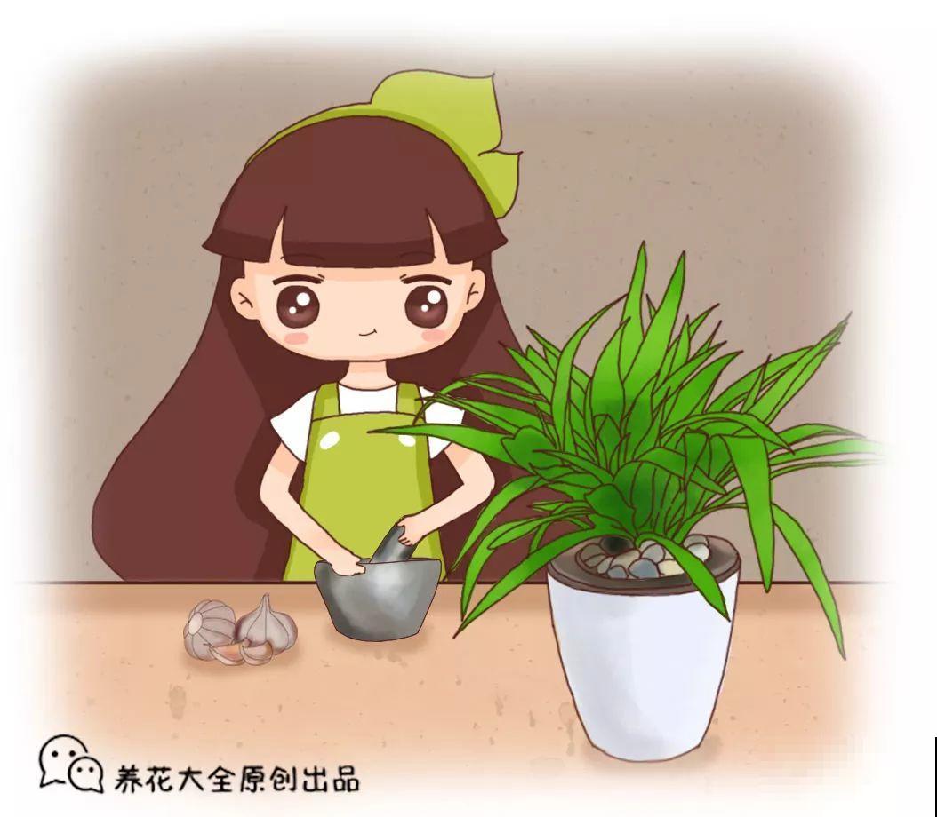 给花浇点它，秋天根系撑爆盆，黄叶离得远远的！