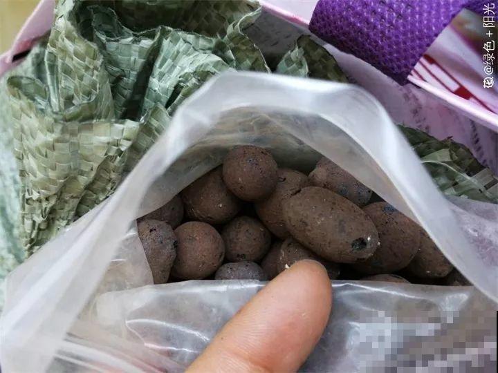 废料垫盆底，透气有营养，养花再也不烂根！