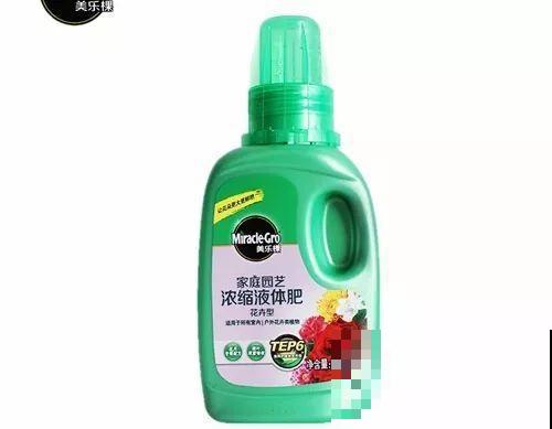 9月养花，6件事趁早做，下半年进入疯长模式！