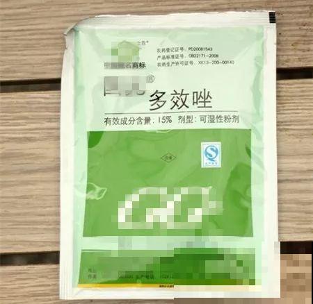 秋天也是施肥季，吊兰有它就够了，用完一次爆芽几十个！