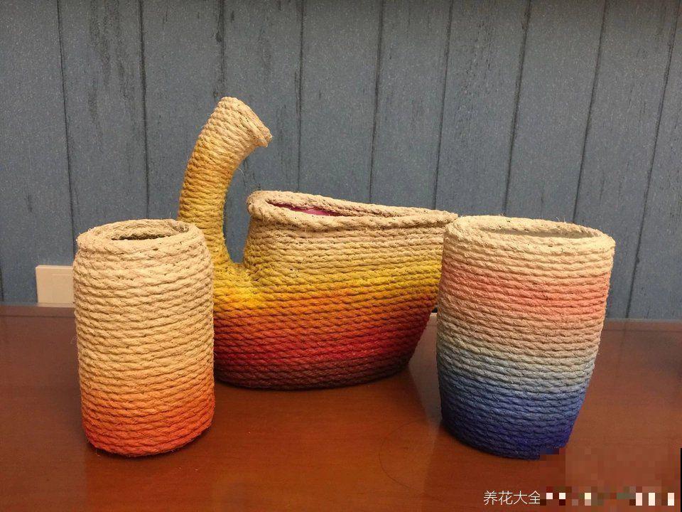 多肉根系不够壮？记住这4点，半月养出大白根！
