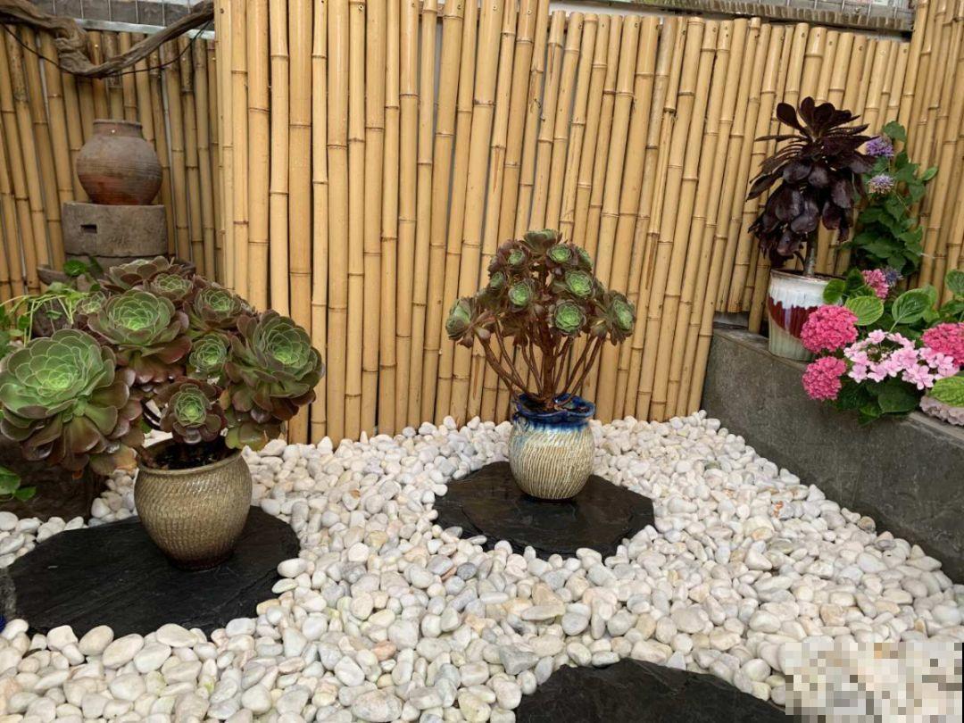 他家的露台，转眼一年大变身，赏花喝茶，像诗一样的生活！
