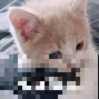 养花不易，碰上这样的伸手党，真没法好好做朋友了！