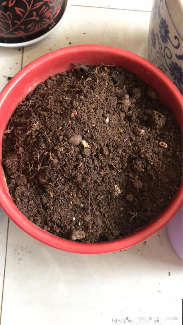 旧土也有新用处，看完涨姿势，少走冤枉路
