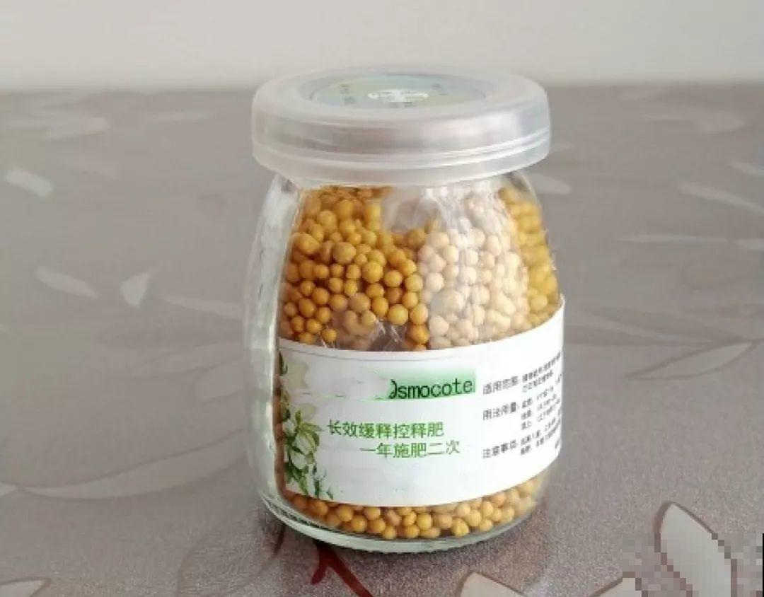 养花离不了它，兑水一浇，生长速度快2倍！