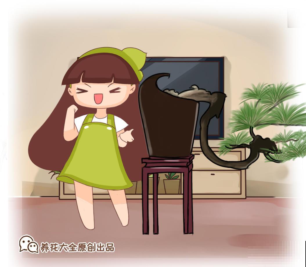 常见的电脑桌植物，不仅防辐射还护眼，不养真亏了！