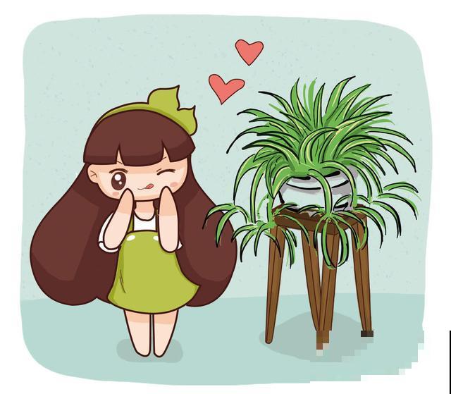 在客厅放几盆悬挂式吊兰，四季常青有生机，还能开出白色小花