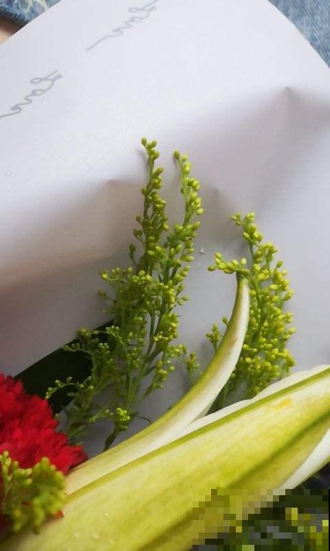 这花俗称养不死，秋天也能泛滥成灾，但农民一见它就火冒三丈！